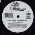 Big Pun, Still Not A Player (Remix)