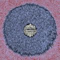 Busdriver, Roadkill Overcoat