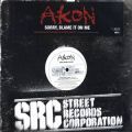 Akon, Sorry, Blame It On Me