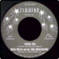 Nicole Willis And The Soul Investigators, Feeling Free