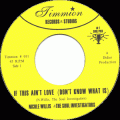 Nicole Willis And The Soul Investigators, If This Ain't Love (Don't Know What Is)
