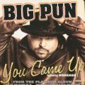 Big Punisher, You Came Up