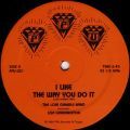 The Loni Gamble Band ft. Lisa Warrington, I Like The Way You Do It