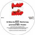 DJ MItsu The Beats / Grooveman Spot, Wait So Long