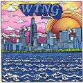 V/A, WTNG: Solid Bronze