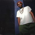 Damu The Fudgemunk, Bright Side Remix