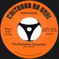 The Explosive Dynamiks, Whole Lotta Loving