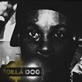 J Dilla, Dillatroit