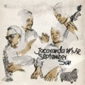 Jacaranda Muse, September Sun
