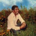 Mahmoud Ahmed, Mahmoud Ahmed