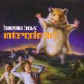 Beastie Boys, Intergalactic