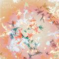bibio, Silver Wilkinson