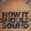 Damu The Fudgemunk, How It Should Sound Vol. 1