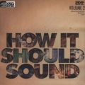Damu The Fudgemunk, How It Should Sound Vol. 2