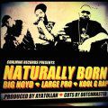 Big Noyd, Large Professor, Kool G Rap, Naturally Born