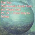 V/A, The Trip. Psychedelic Music from the Hippie Trail. Pt. 1/4—From Italy to Turkey