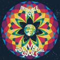The Polyversal Souls, Invisible Joy