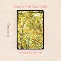 Paul & The Tall Trees, The Little Bit Of Sunshine