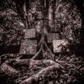 Kamasi Washington, Harmony Of Difference