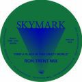 Skymark, Find A Place In This Crazy World (Ron Trent Mix)