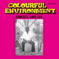 Gboyega Adelaja, Colourful Enviroment