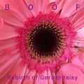 Boof, Rebirth Of Gerberdaisy