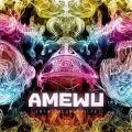 Amewu, Entwicklungshilfe - RSD 2020