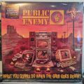 Public Enemy, What You Gonna Do When The Grid Goes Down?