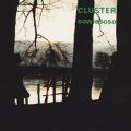 Cluster, Sowiesoso