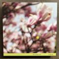 Tara Clerkin Trio, In Spring