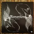 Misha Panfilov, Momentum