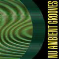 Genuine, Nu Ambient Grooves