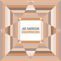 Joe Harrison, Shadowboxing