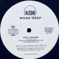 Mobb Deep, Still Shinin'