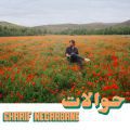 Charif Megarbane, Hawalat