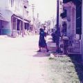 Ganavya, Nilam
