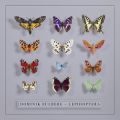 Dominik Eulberg, Lepidoptera