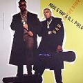 Kool G Rap & DJ Polo, Bad To The Bone