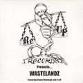 Wastelandz, King Of Luck