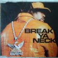 Busta Rhymes, Break Ya Neck