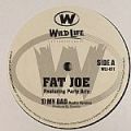 Fat Joe, My Bad