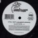 Big Pun, Still Not A Player (Remix)