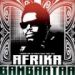 Afrika Bambaataa, Looking For The Perfect Beat: 1980-1985