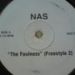 Nas, The Foulness (Freestyle 2)