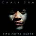 Chali 2na, Fish Outta Water