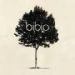 bibio, Ambivalence Avenue