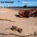 Cut Chemist, Outro (Revisited)