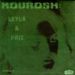 Kourosh, Leila