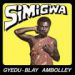 Gyedu-Blay Ambolley, Simigwa