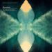 Bonobo, The North Borders